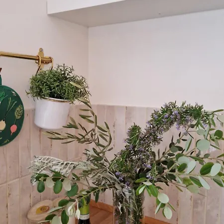 Apartament Papillon Capitolo