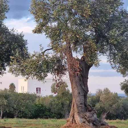 Papillon Apartment *