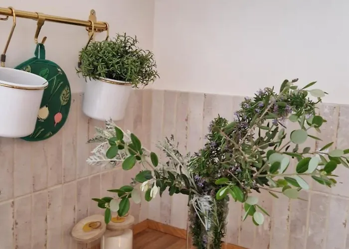 Daire Papillon Capitolo